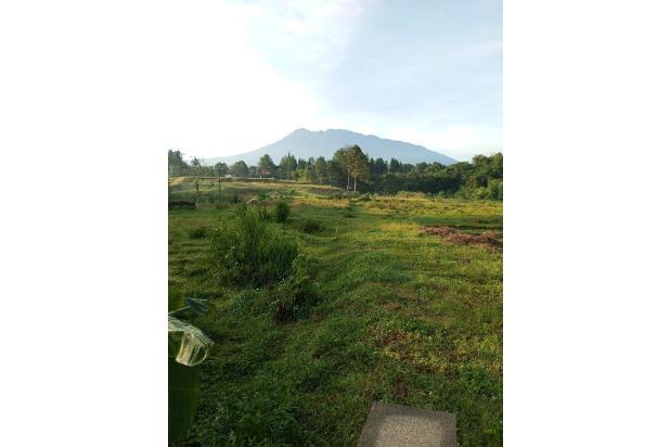 Tanah Kavling Impian Keluarga Di Cisarua Puncak Bogor