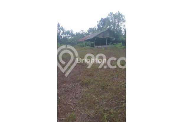 Tanah Lokasi Strategis Untuk Gudang Logistik di Km 29 Denpasar