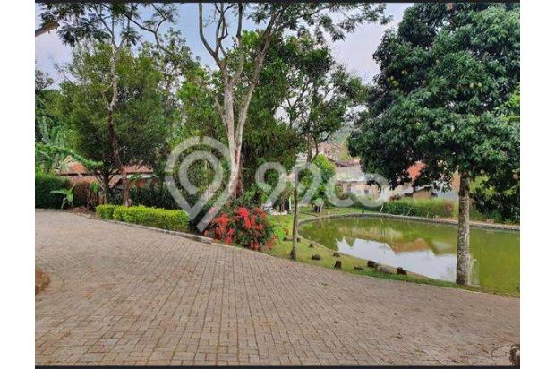 Dijual Cepat Tanah Di Ciawi Bogor Untuk Villa, Resort, Outbond Dan Hotel