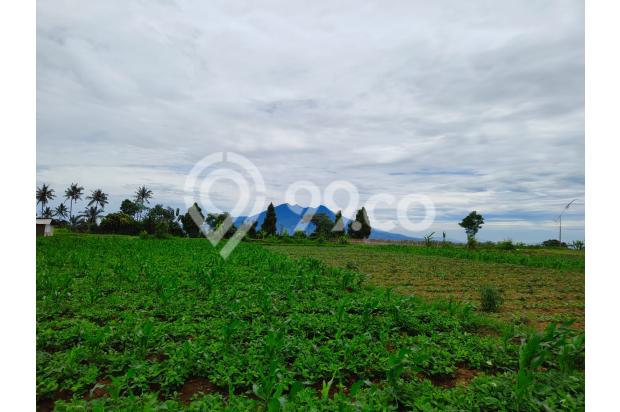 Dijual Tanah Kavling Murah Siap Bangun Di Puncak Bogor Jawa Barat