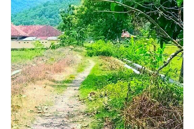 JuaL Tanah Sawah Lt 8200m² Bulu Sukoharjo Jawatengah