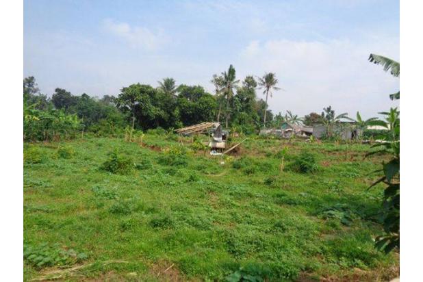 Tanah Lelang Bri, Gunung Sindur, Bogor