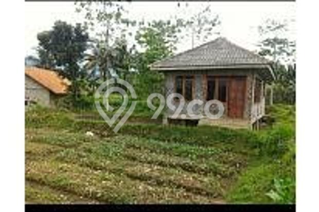 Tanah kebun strategis depan jl. raya 5420m2 u/Villa, pertanian