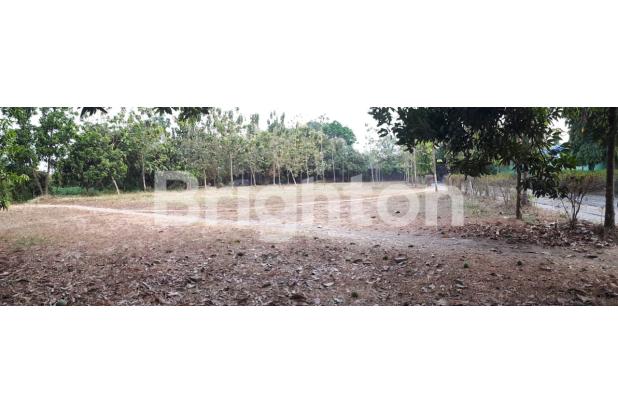 Tanah Lahan bonus Kolam Renang Jabon Mojokerto