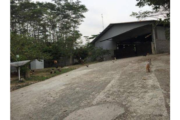 Gudang Luas Strategis di Purwakarta Dekat Pintu Tol 