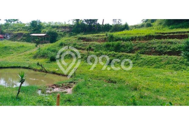 DIJUAL CEPAT TANAH MURAH VIEW PEGUNUNGAN CISARUA PUNCAK BOGOR 