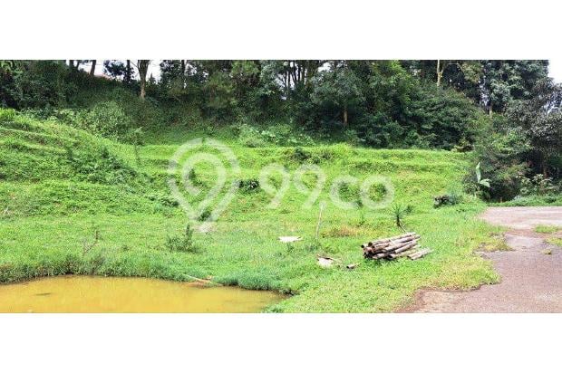 DIJUAL CEPAT TANAH MURAH VIEW PEGUNUNGAN CISARUA PUNCAK BOGOR 