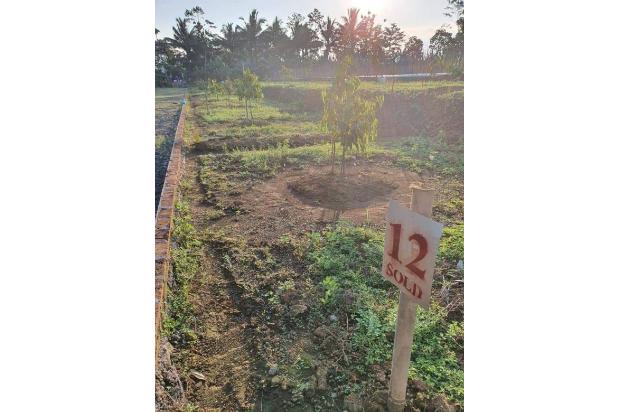jual kavling durian Cigalontang Singaparna Tasikmalaya