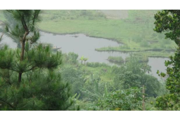 Dijual Tanah di Rawa Gede Puncak Bogor