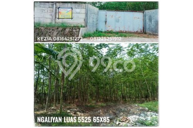 TANAH NGALIYAN