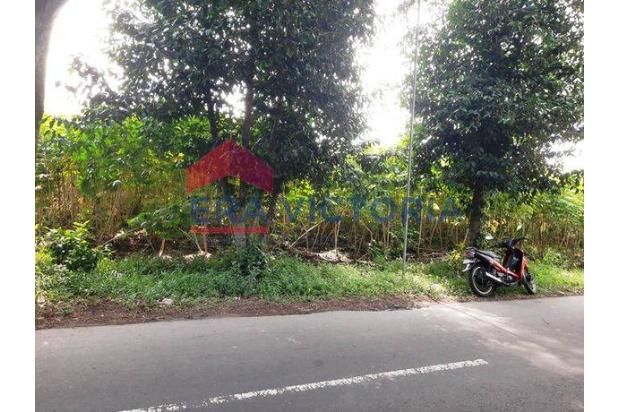 Tanah Di Banjarejo Ngadiluwih Kabupaten Kediri, Luas 6900 m
