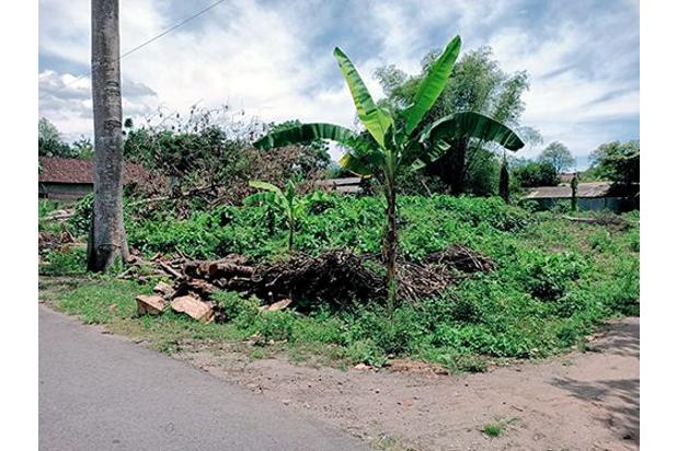 Tanah Dijual di Kediri - 1886m2