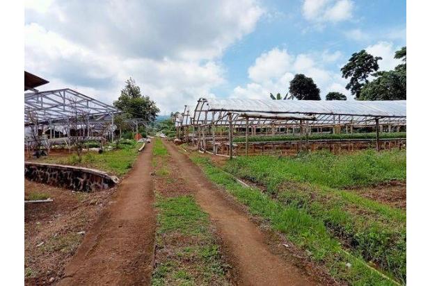 Dijual 2 Villa Dan Dapat Perkebunan Mega Mendung Bogor