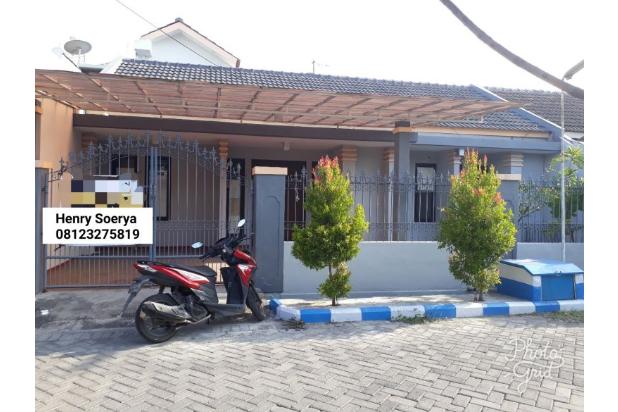 176 Rambutan V Pondok Tjandra indah Sidoarjo