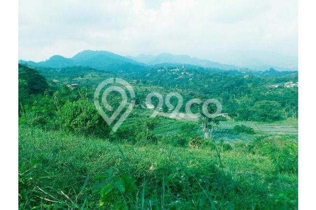 Tanah luas 38 ha puncak