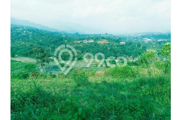 Tanah luas 38 ha puncak