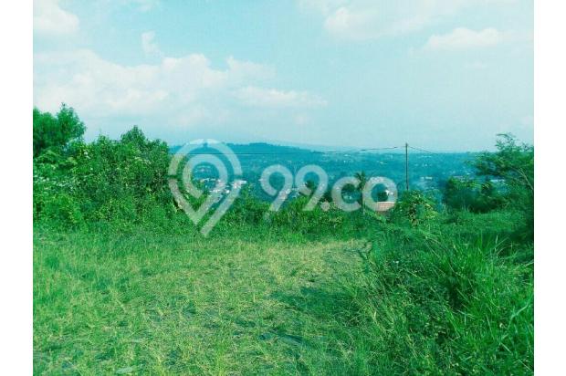 Tanah luas 38 ha puncak