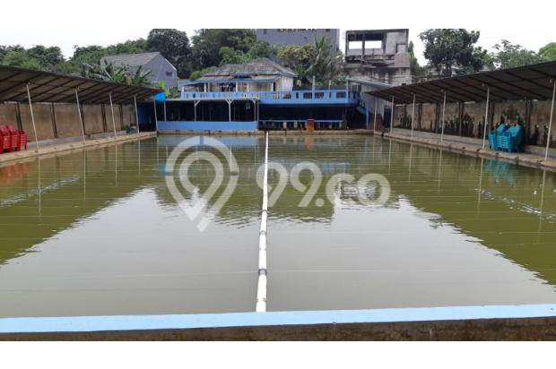 Tempat Pemancingan Beserta Isinya dan Rumah Tinggal Pamulang