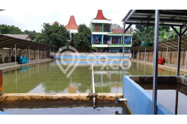 Tempat Pemancingan Beserta Isinya dan Rumah Tinggal Pamulang