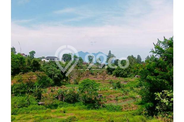 Dijual tanah murah strategis di puncak Bogor 