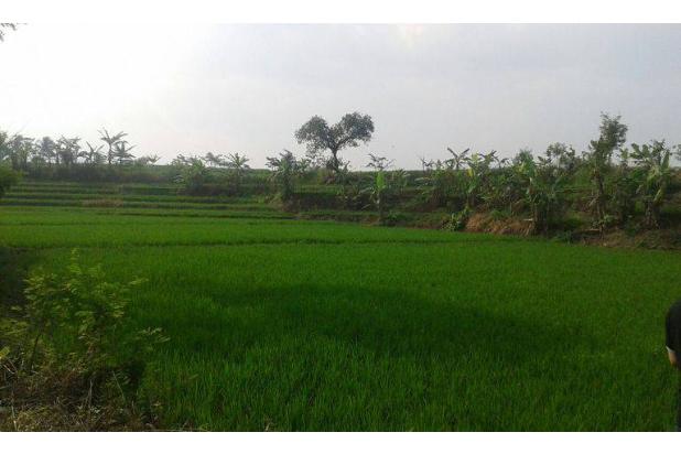 Tanah Sawah Daerah Sinargalih Bumi Mas