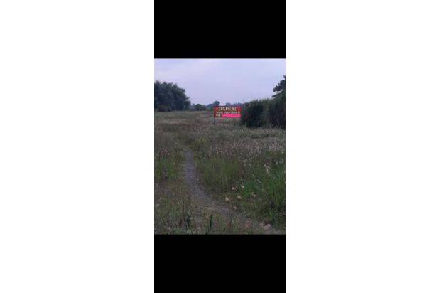 Tanah plot industri 17.000 m2/ 1,7 Hektare di Tulangan Sidoarjo, sudah uruk, tinggal bangun pabrik/ gudang