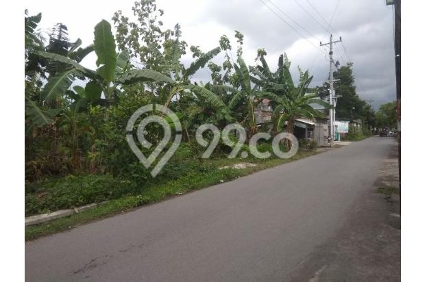tanah murah buat hunian usaha tepi jalan raya telukan
