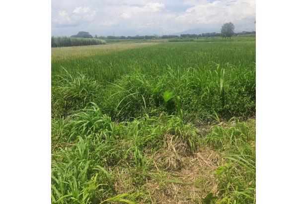 Tanah Industri Gurah Kediri, Banyak Industri di Sekitarnya