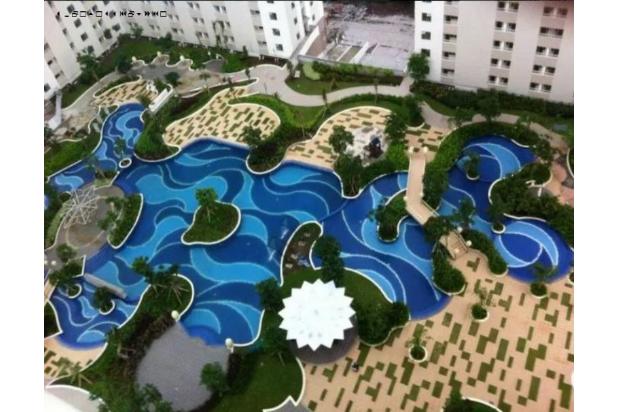 Apartemen Educity, Full Furnish, View Pool