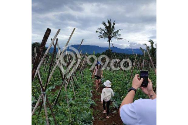 Kavling Tanah Datar Siap Bangun Villa di Puncak