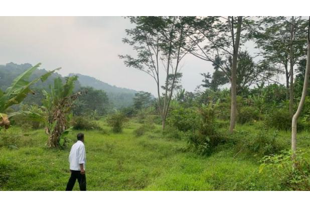 DIJUAL CEPAT TANAH SELUAS 1589 METER, SHM , BOGOR BARAT