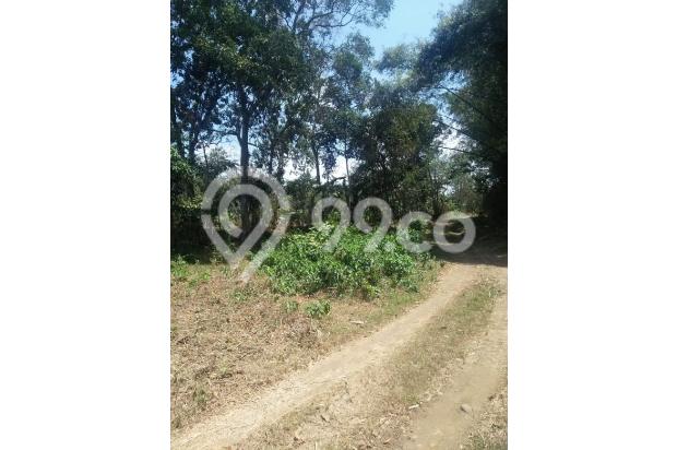 Tanah luas dan murah di Randu Agung Singosari Malang