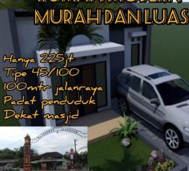 Rumah modern murah dan luas