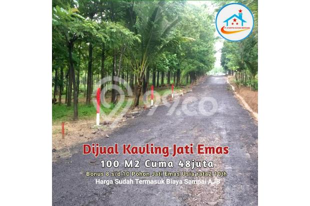 Tanah Kavling Murah Pinggir Jalan Raya Transyogi Tanjungsari Bogor