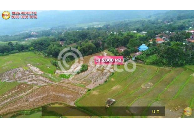Jual Tanah Lokasi Strategis View Gunung di Sukamakmur Bogor - Umr