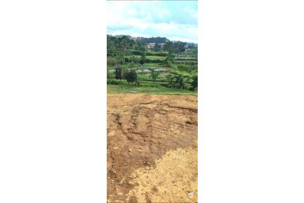 Tanah kavling sultan 400 m² SHM Puncak Bogor