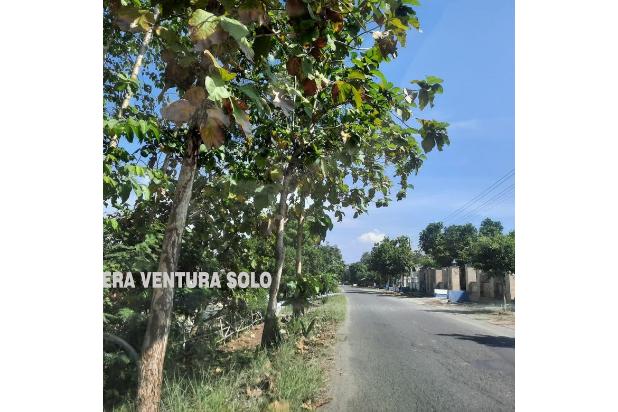 Tanah Zona Merah Mulur Sukoharjo