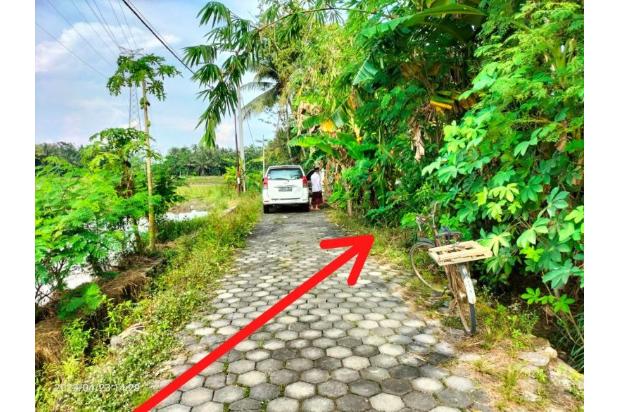 Jual Tanah di dalam Desa Plumbon, Kulon Progo
