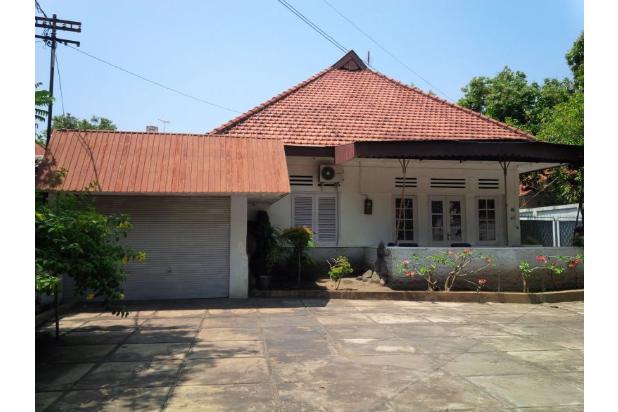 Rumah Luas utk Bank dan Kantor Lokasi Pusat Kota Probolinggo