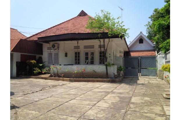 Rumah Luas utk Bank dan Kantor Lokasi Pusat Kota Probolinggo