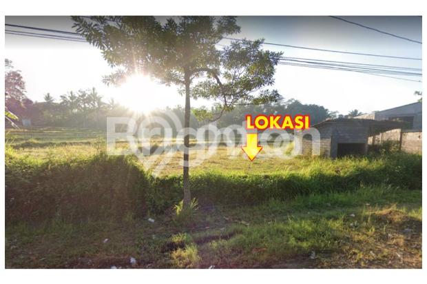 TANAH LUAS DI PINGGIR JALAN RAYA SALATIGA
