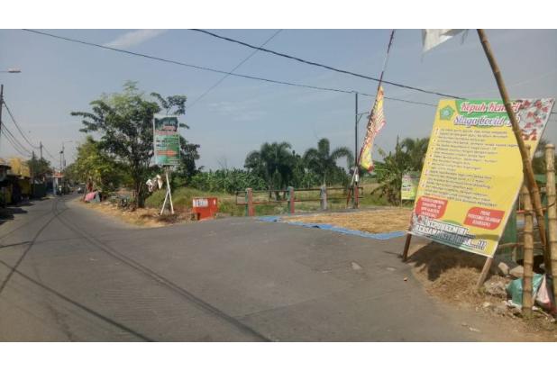 Tanah luas dan murah bagus untuk perumahan/kavling di Sidoarjo