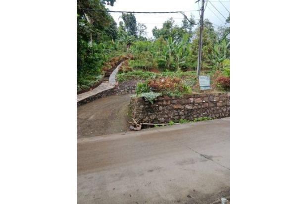Lahan Harga Miring Waringinkurung Jual Bu