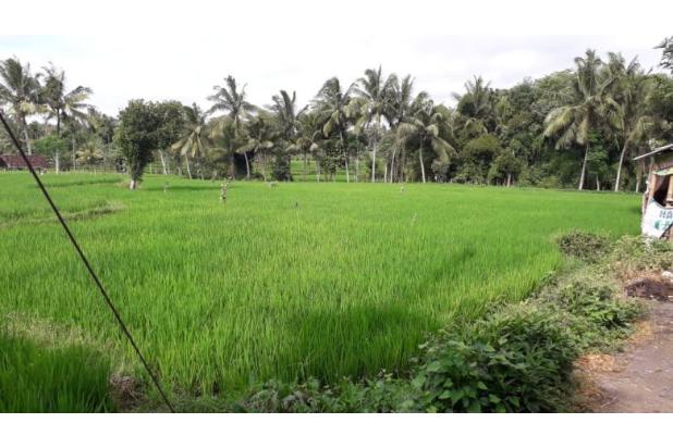 Tanah Pinggir Jalan Provinsi Jurusan Kopang-Mataram Lombok