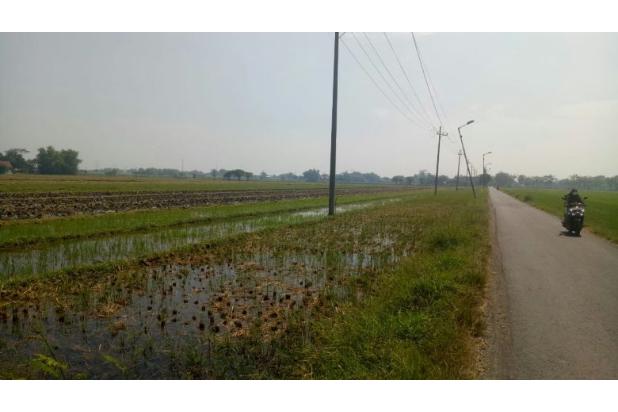 Tanah luas murah di nol jalan raya Sidoarjo