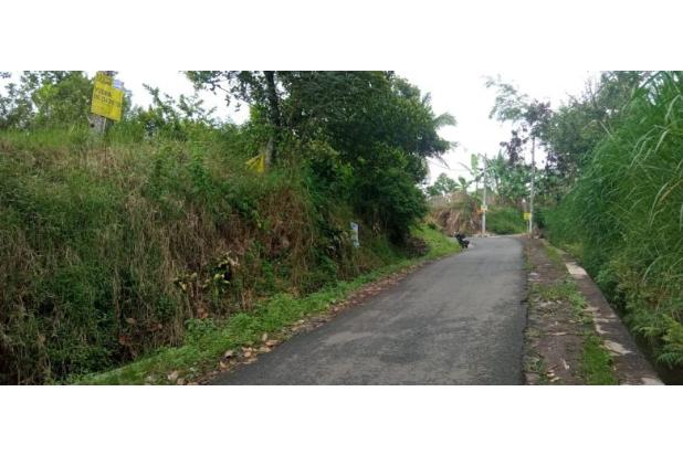 TANAH & KEBUN JAMBU Dusun SUMBERSARI - BATU DIJUAL CEPAT