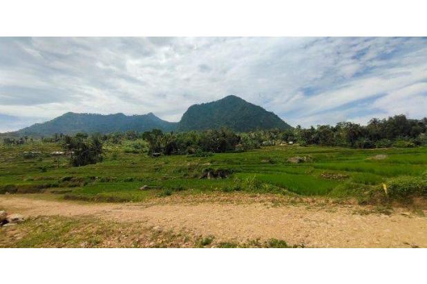 Tanah 200 m² Pinggir Jalan  Bogor Timur Cocok Untuk Investasi