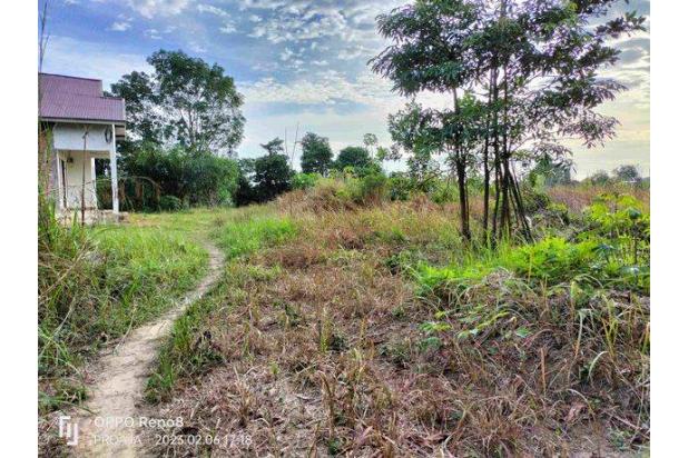 Dijual Cepat Tanah Di Kota Baru Jambi