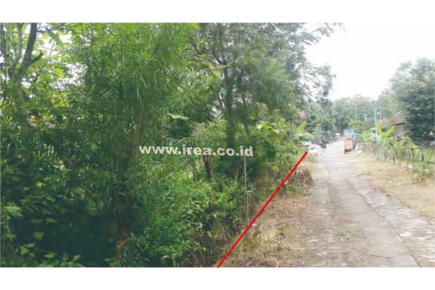Tanah kosong cocok utk kandang ayam atau babi