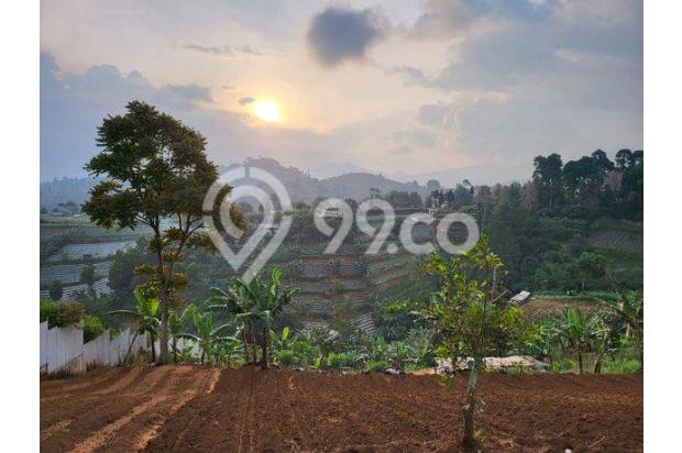 Tanah / Kavling Best View Gunung Cocok Untuk Villa Di Dago Giri Dekat Punclut Dan Lembang Bandung